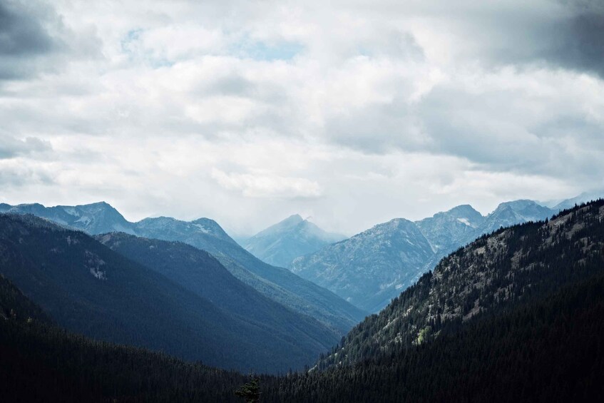Picture 3 for Activity Seattle: Private Cascade Mountains and Waterfalls Day Tour