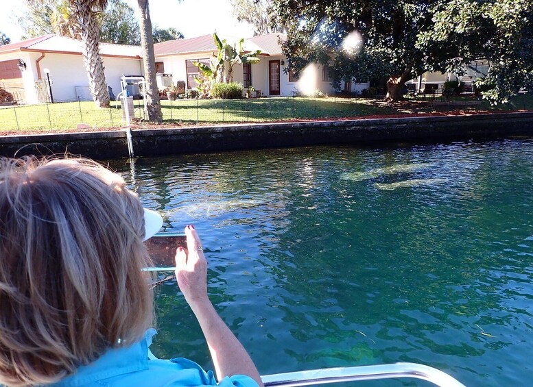 Picture 5 for Activity Crystal River: Manatee Viewing Cruise