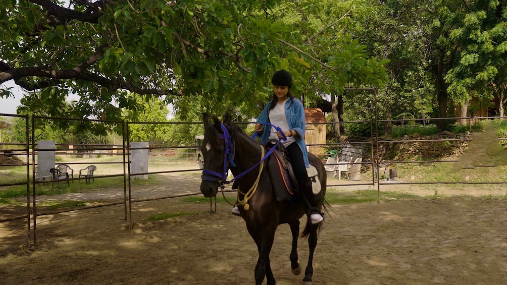 Picture 2 for Activity Rural Trail On Marwari Horseback At Private Ranch in 12Acres