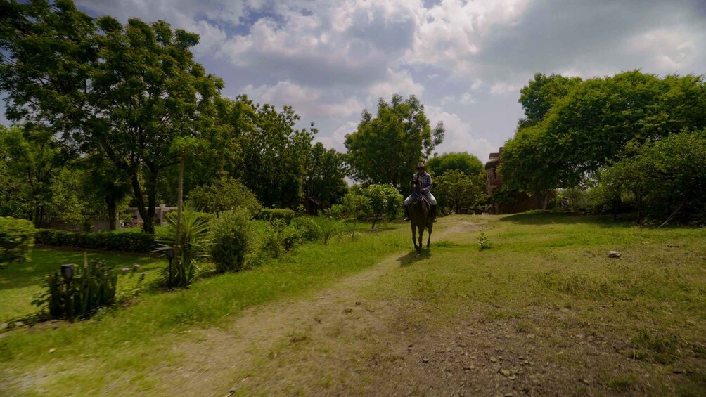 Picture 18 for Activity Rural Trail On Marwari Horseback At Private Ranch in 12Acres