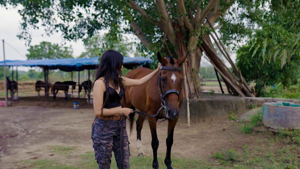 Picture 6 for Activity Rural Trail On Marwari Horseback At Private Ranch in 12Acres