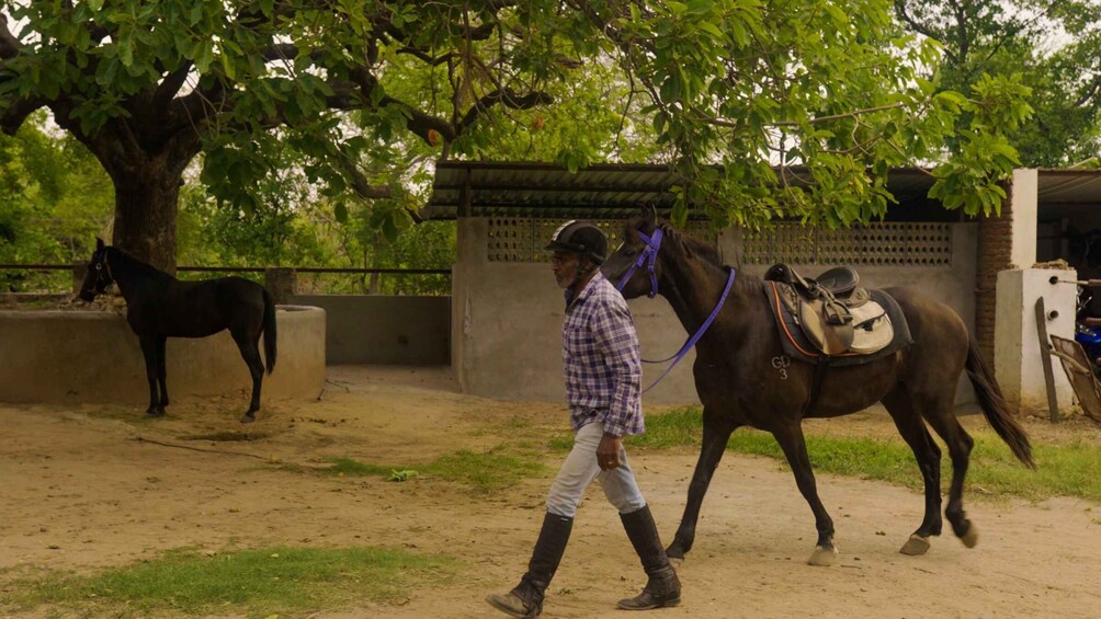 Picture 3 for Activity Rural Trail On Marwari Horseback At Private Ranch in 12Acres
