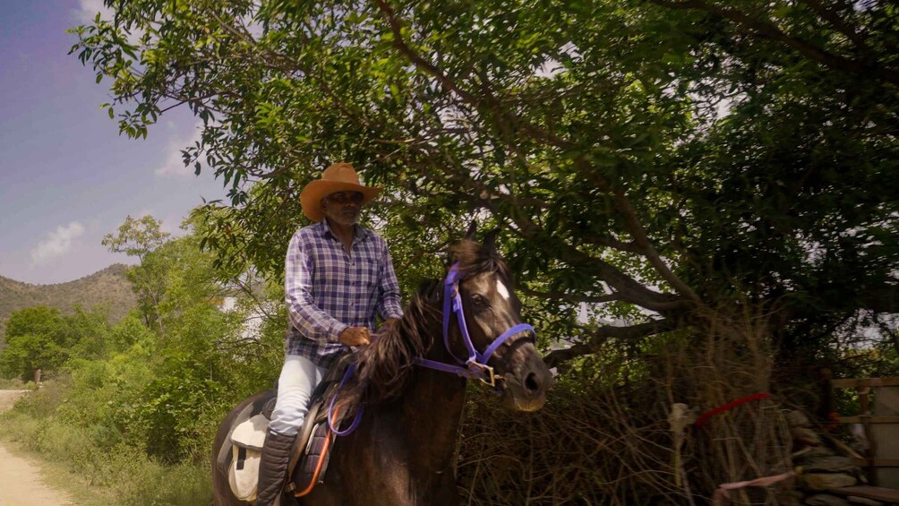 Picture 5 for Activity Rural Trail On Marwari Horseback At Private Ranch in 12Acres