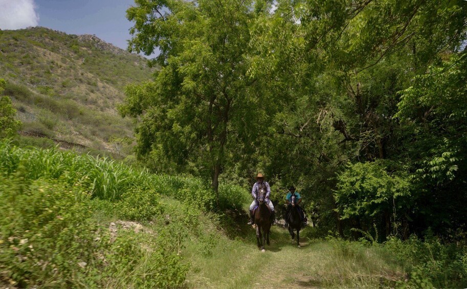 Picture 1 for Activity Rural Trail On Marwari Horseback At Private Ranch in 12Acres