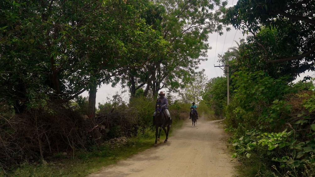 Picture 22 for Activity Rural Trail On Marwari Horseback At Private Ranch in 12Acres