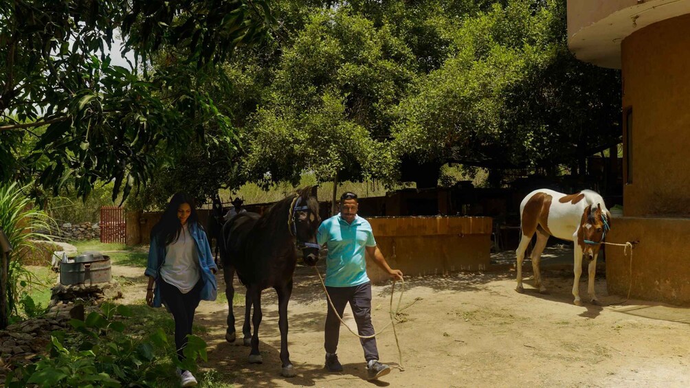 Picture 19 for Activity Rural Trail On Marwari Horseback At Private Ranch in 12Acres