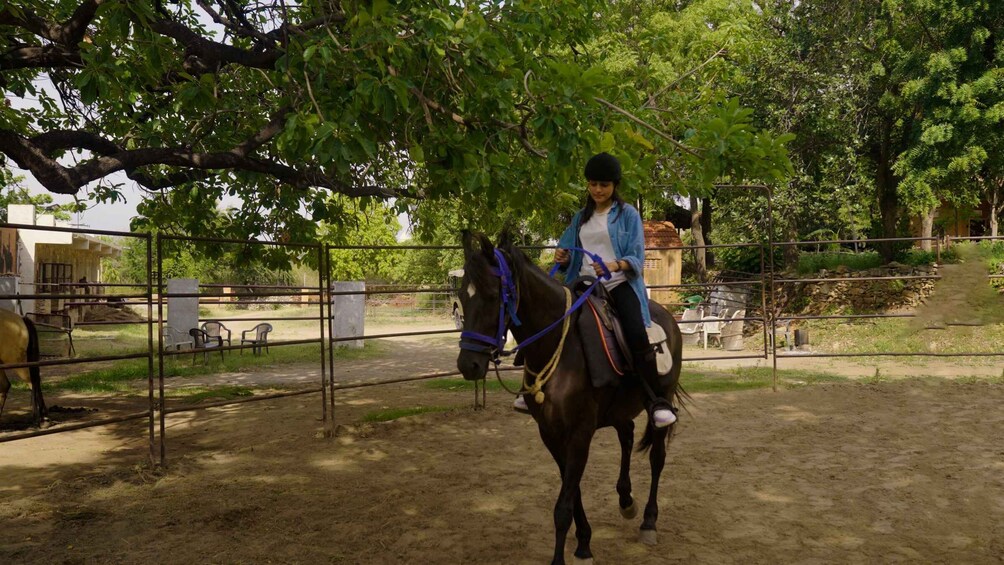 Picture 2 for Activity Rural Trail On Marwari Horseback At Private Ranch in 12Acres