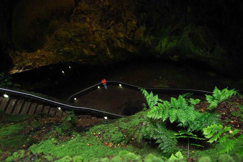 Private Caves tour with a Geologist