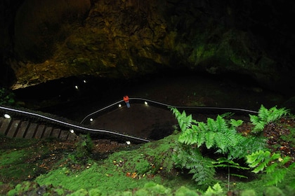 Private Caves tour with a Geologist