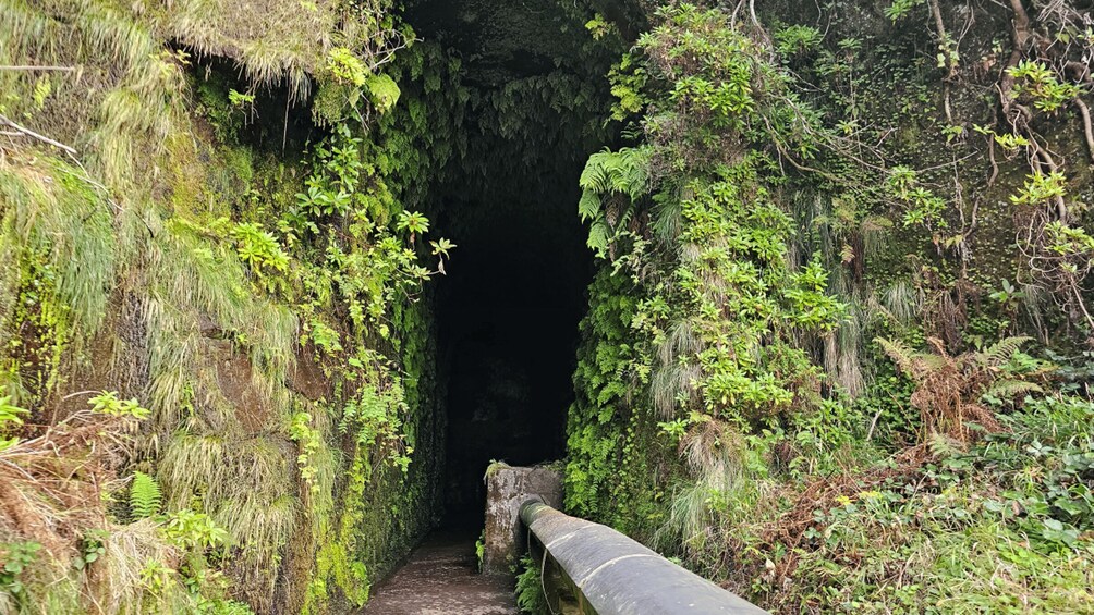 Picture 1 for Activity Private tour : 25 Fontes Levada Hike