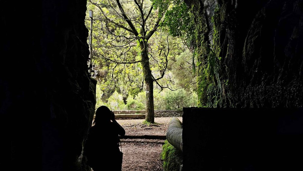 Picture 2 for Activity Private tour : 25 Fontes Levada Hike