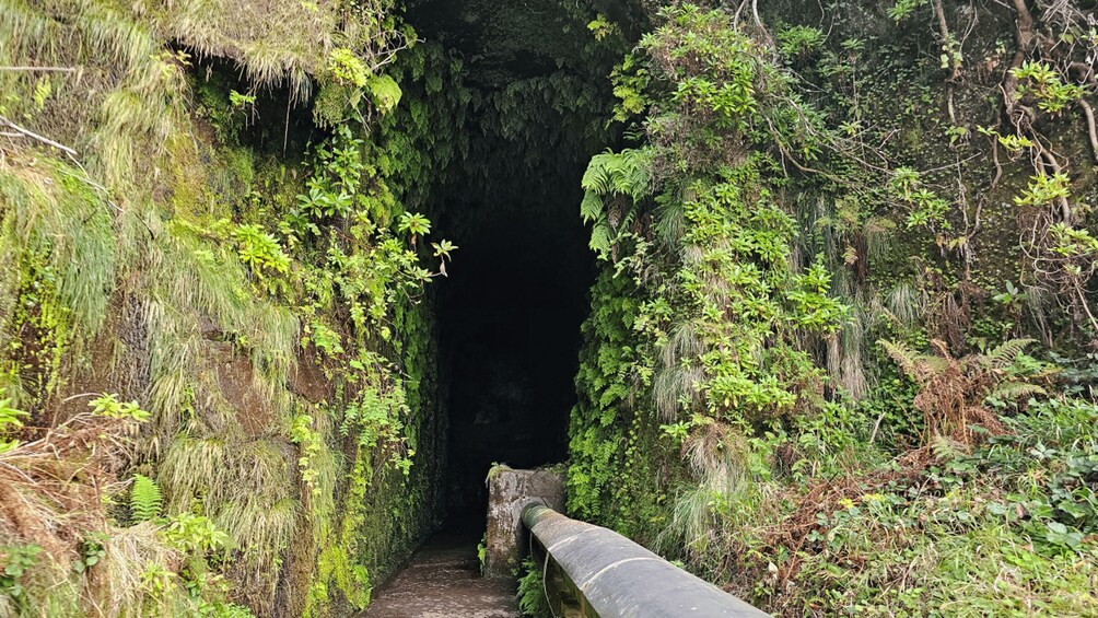 Picture 1 for Activity Private tour : 25 Fontes Levada Hike