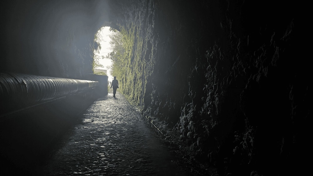 Picture 3 for Activity Private tour : 25 Fontes Levada Hike