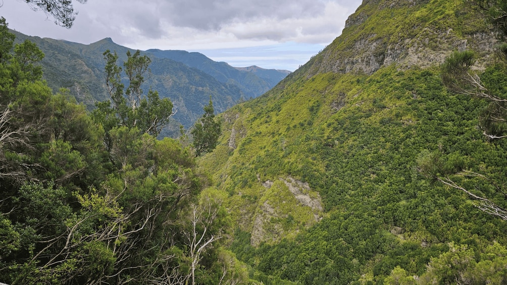 Picture 6 for Activity Private tour : 25 Fontes Levada Hike