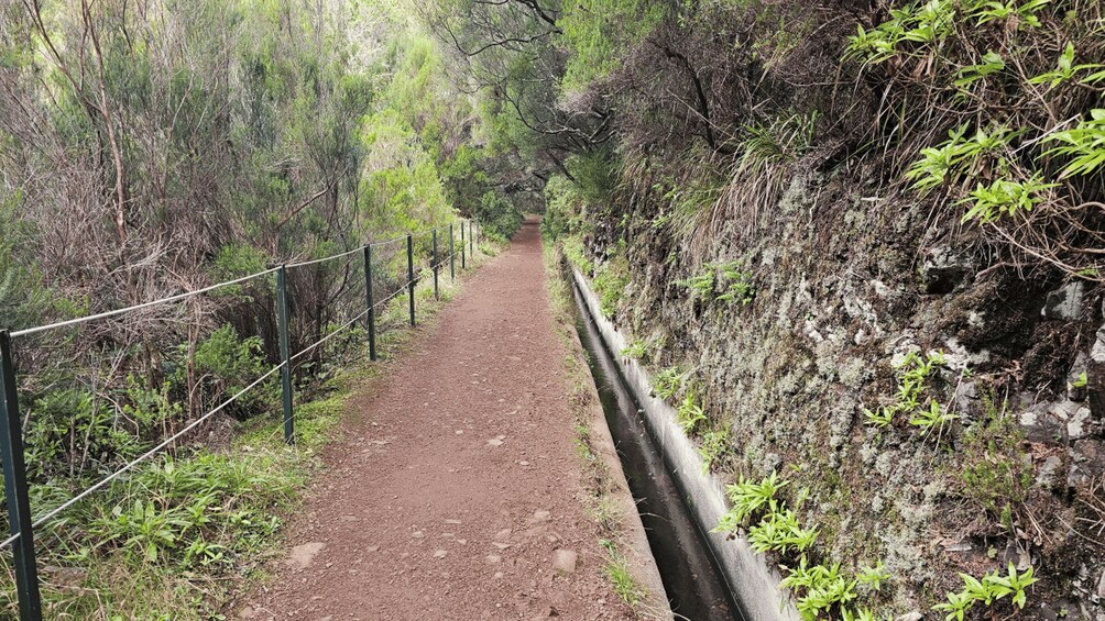 Picture 5 for Activity Private tour : 25 Fontes Levada Hike