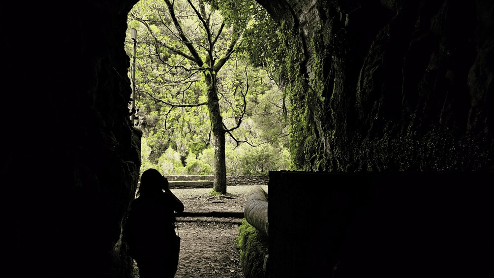 Picture 2 for Activity Private tour : 25 Fontes Levada Hike