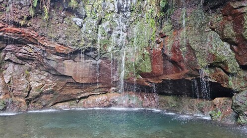 Private tour : 25 Fontes Levada Hike