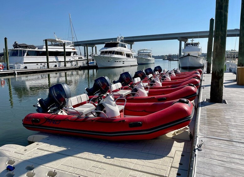 Picture 5 for Activity Hilton Head: Guided Disappearing Island Tour by Mini Boat