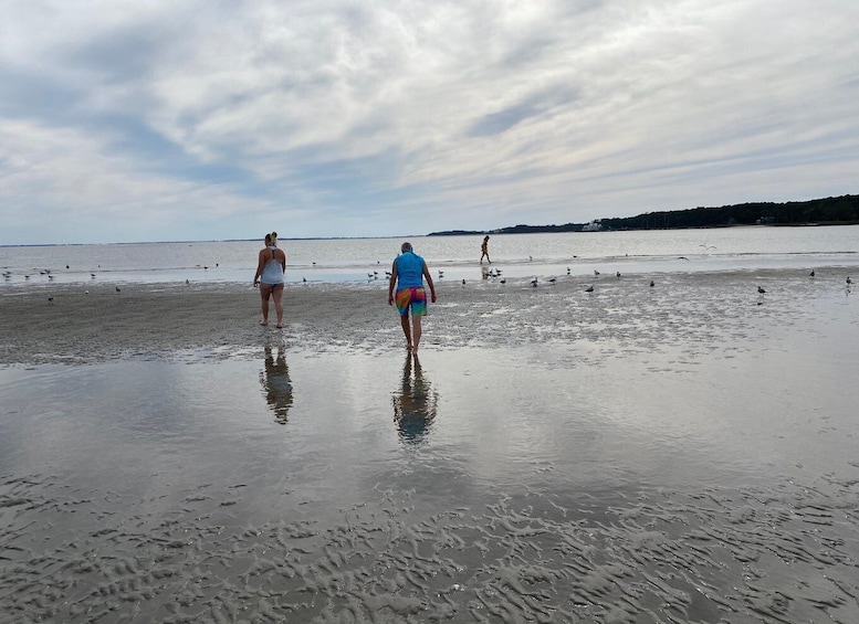 Picture 2 for Activity Hilton Head: Guided Disappearing Island Tour by Mini Boat