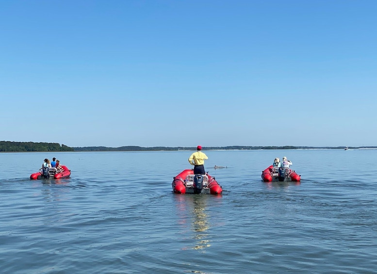 Picture 3 for Activity Hilton Head: Guided Disappearing Island Tour by Mini Boat