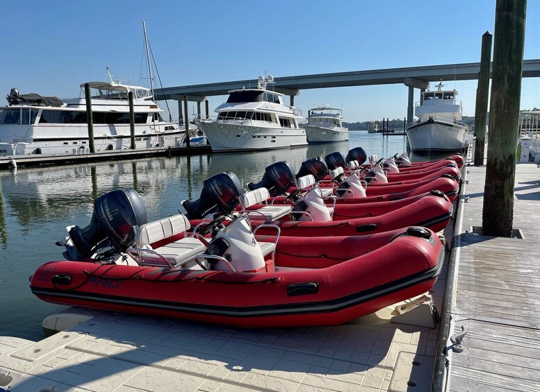 Picture 5 for Activity Hilton Head: Guided Disappearing Island Tour by Mini Boat