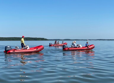 Hilton Head: Geführte Disappearing Island Tour mit dem Miniboot