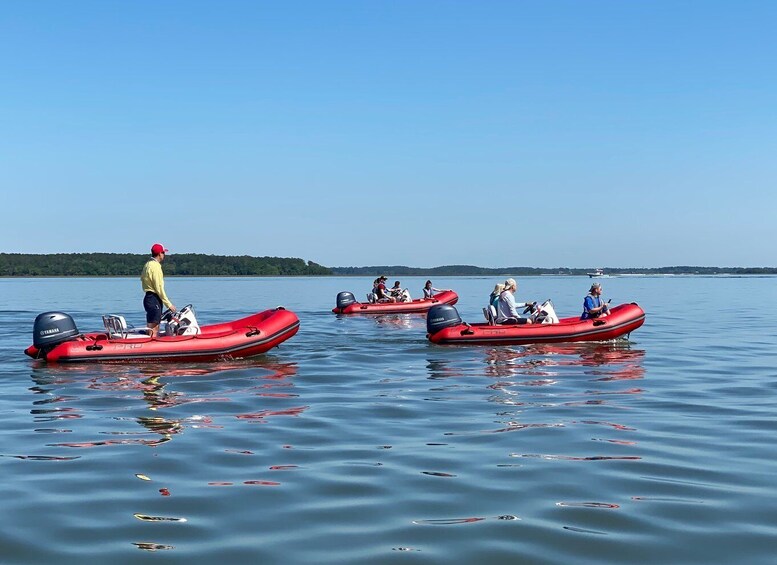 Hilton Head: Guided Disappearing Island Tour by Mini Boat