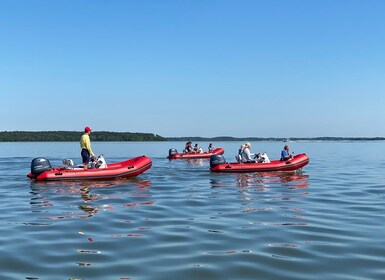 Hilton Head: Guided Disappearing Island Tour by Mini Boat