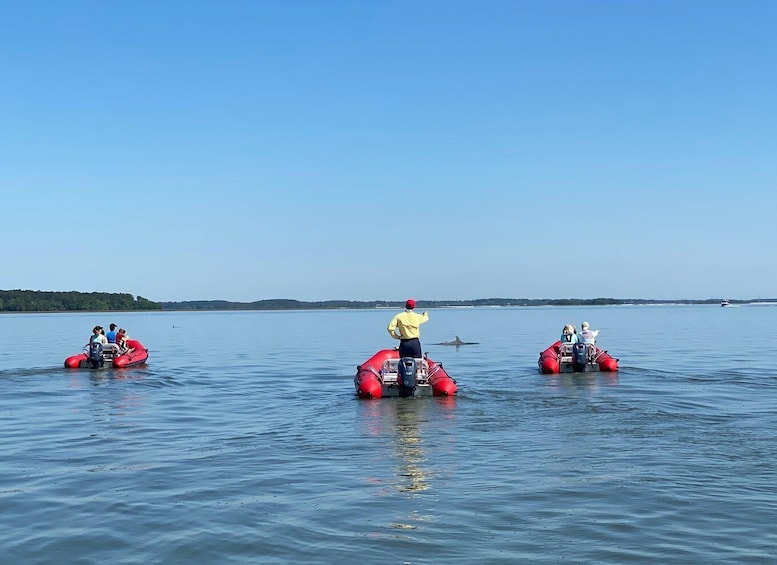 Picture 4 for Activity Hilton Head: Guided Disappearing Island Tour by Mini Boat