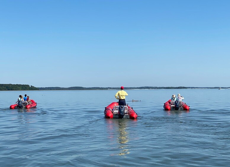 Picture 3 for Activity Hilton Head: Guided Disappearing Island Tour by Mini Boat