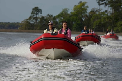 Hilton Head: Guided Disappearing Island Tour by Mini Boat