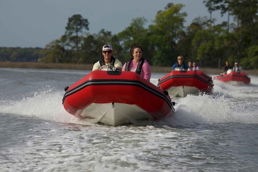 Picture 1 for Activity Hilton Head: Guided Disappearing Island Tour by Mini Boat