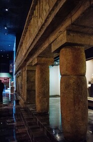 VISITA EXCLUSIVA al Museo de Antropología - grupos pequeños