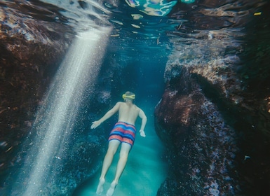 Dubrovnik: Hurtigbåttur med Blue Cave om morgenen med drikke