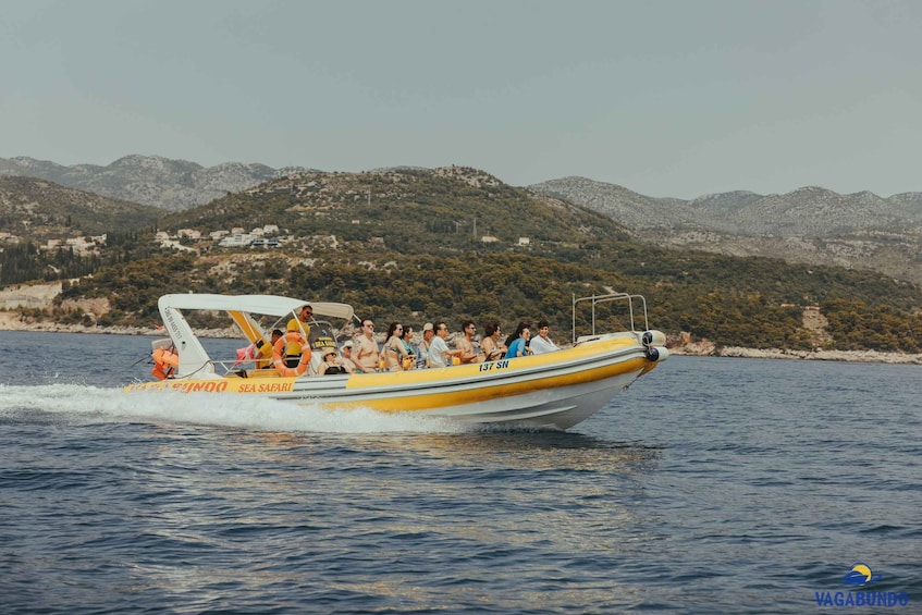 Picture 14 for Activity Morning Blue Cave - Sea Safari Dubrovnik