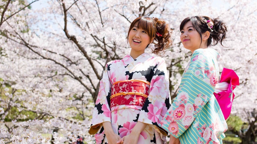 Kyoto: Kimono Experience in Gion
