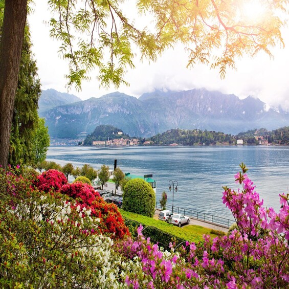 Picture 5 for Activity From Milan: Lake Como & Bellagio Private Guided Day Tour