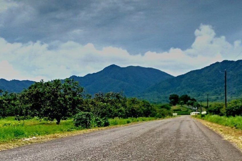 Belize Zoo & Country Tour with lunch from Placencia