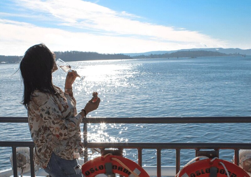 Picture 10 for Activity Oslo: 100% Electric Oslofjord Sightseeing Cruise