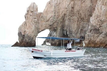 Cabo San Lucas: 45-minütige Tour mit dem Glasbodenboot