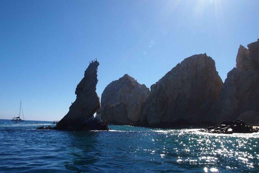 Picture 13 for Activity Cabo San Lucas: 45-Minute Glass-Bottom-Boat Tour