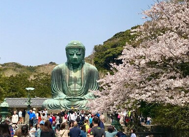 Kamakura & Yokohama: Highlight Tour in Spanish