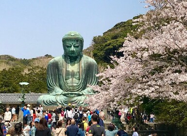 Kamakura & Yokohama: Highlight Tour in Spanish