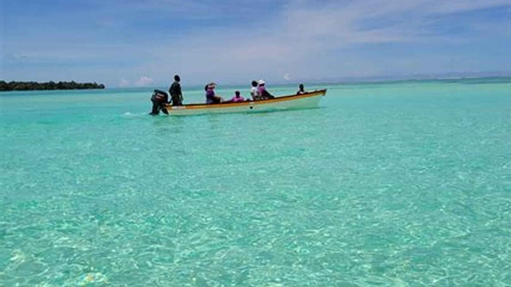 Picture 3 for Activity Dumaguete Manjuyod sand bar & Dolphin Watching