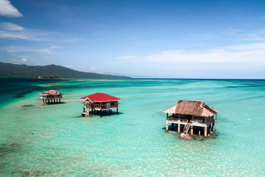 Picture 2 for Activity Dumaguete Manjuyod sand bar & Dolphin Watching