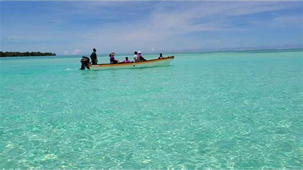 Picture 3 for Activity Dumaguete Manjuyod sand bar & Dolphin Watching