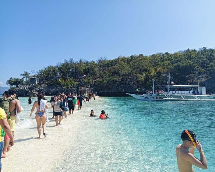 Picture 3 for Activity Oslob: Whaleshark Watching, Tumalog Falls & Sumilon Island