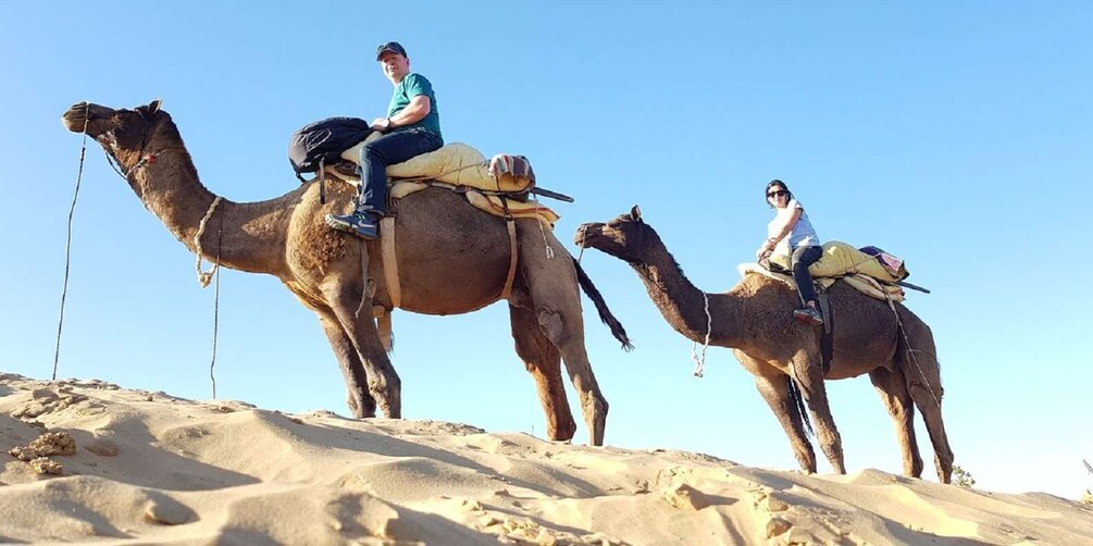 Picture 10 for Activity An Unforgettable Camel and Jeep Safari in Osian Villlage