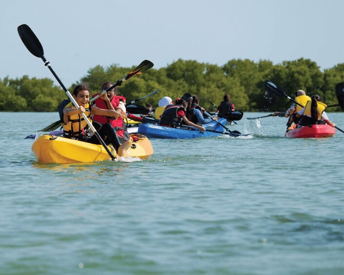 Picture 1 for Activity From Samana: Los Haitises Hike, Boat Trip, and Kayaking