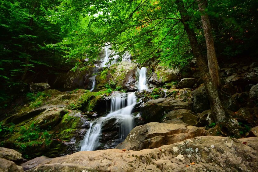 Picture 4 for Activity Explore: The Shenandoah Driving Tour